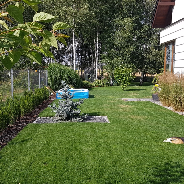 trawnik z siewu, ogród nowoczesny.